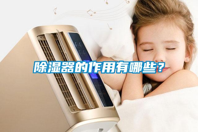 除濕器的作用有哪些?