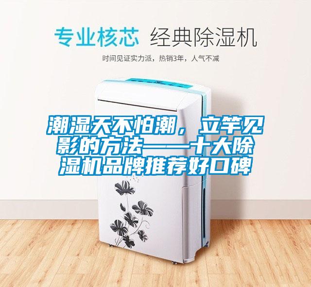潮濕天不怕潮，立竿見影的方法——十大除濕機品牌推薦好口碑