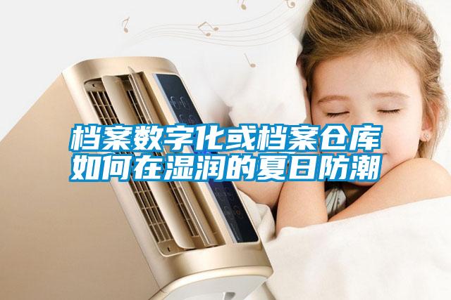 檔案數(shù)字化或檔案?jìng)}庫如何在濕潤的夏日防潮