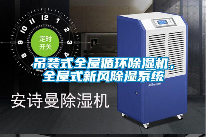 吊裝式全屋循環(huán)除濕機(jī),全屋式新風(fēng)除濕系統(tǒng)