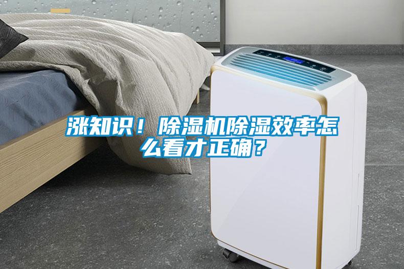 漲知識！除濕機除濕效率怎么看才正確？