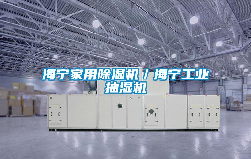 海寧家用除濕機/海寧工業抽濕機