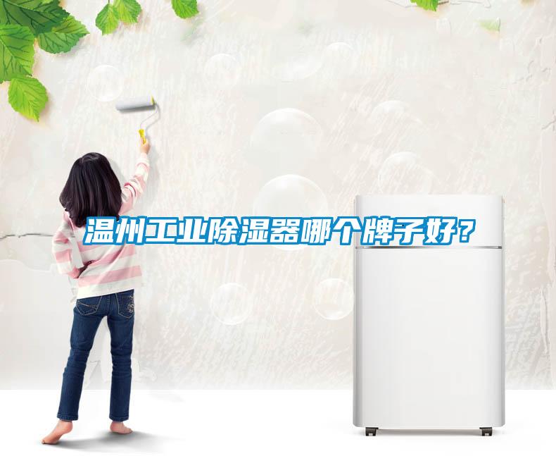 溫州工業除濕器哪個牌子好？