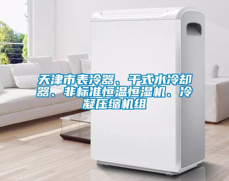天津市表冷器、干式水冷卻器、非標(biāo)準(zhǔn)恒溫恒濕機(jī)、冷凝壓縮機(jī)組