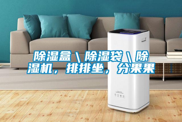 除濕盒＼除濕袋＼除濕機(jī)，排排坐，分果果