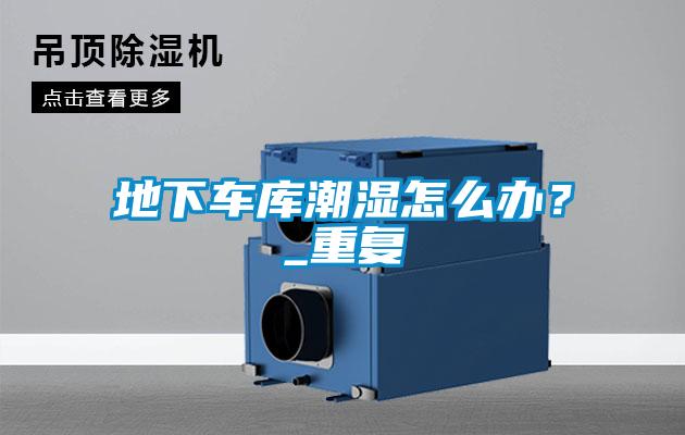 地下車庫潮濕怎么辦？_重復