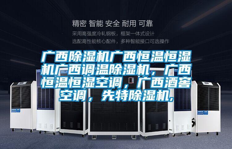 廣西除濕機廣西恒溫恒濕機廣西調溫除濕機,廣西恒溫恒濕空調,廣西酒窖空調,先特除濕機,