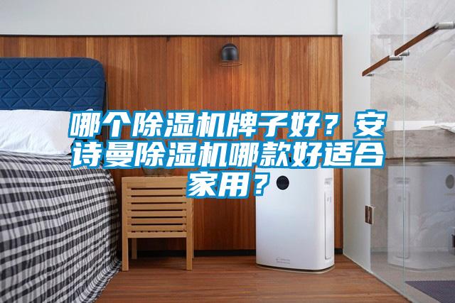 哪個除濕機牌子好？安詩曼除濕機哪款好適合家用？