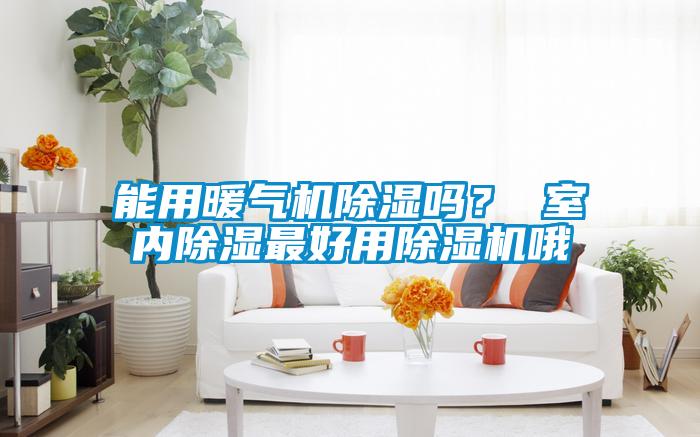 能用暖氣機除濕嗎? 室內(nèi)除濕最好用除濕機哦