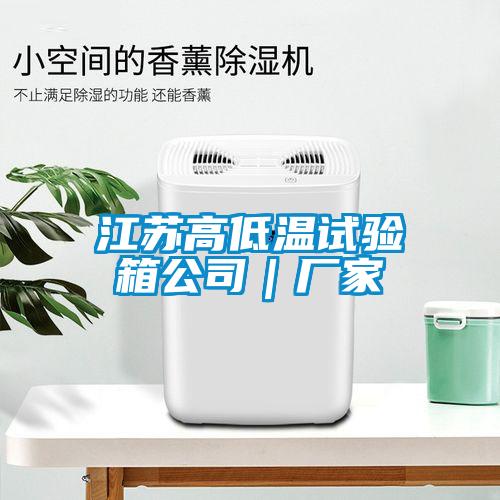 江蘇高低溫試驗(yàn)箱公司|廠(chǎng)家