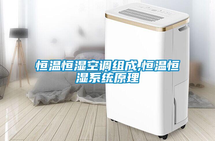 恒溫恒濕空調組成,恒溫恒濕系統(tǒng)原理