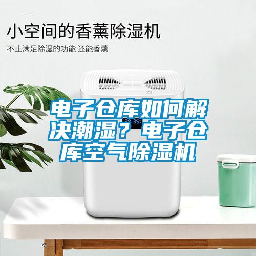 電子倉(cāng)庫(kù)如何解決潮濕?電子倉(cāng)庫(kù)空氣除濕機(jī)