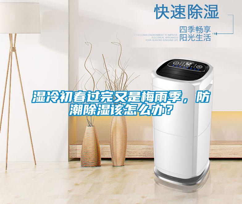 濕冷初春過完又是梅雨季，防潮除濕該怎么辦？