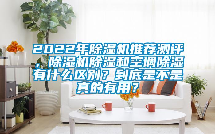 2022年除濕機推薦測評,除濕機除濕和空調除濕有什么區別?到底是不是真的有用?