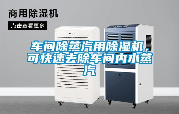車間除蒸汽用除濕機,可快速去除車間內水蒸汽