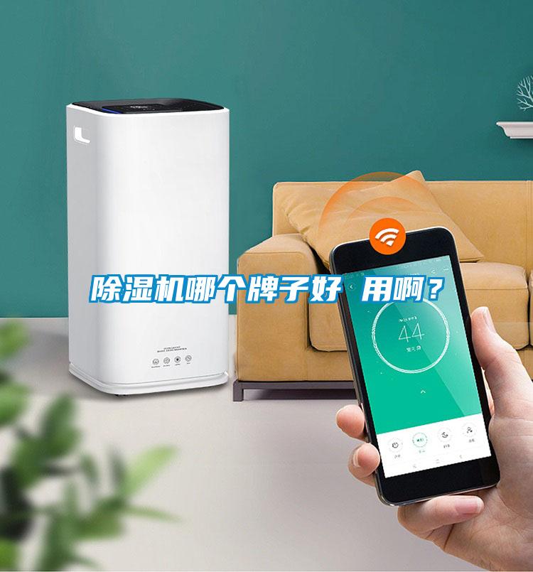 除濕機(jī)哪個(gè)牌子好 用??？