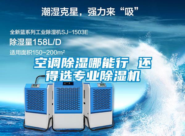 空調除濕哪能行 還得選專業(yè)除濕機