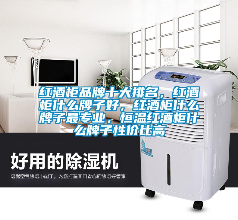 紅酒柜品牌十大排名,紅酒柜什么牌子好,紅酒柜什么牌子最專業(yè),恒溫紅酒柜什么牌子性價比高
