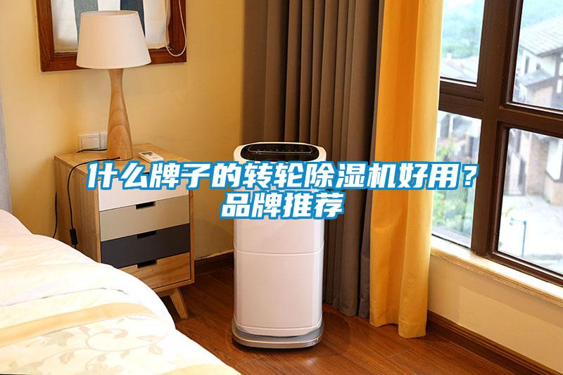 什么牌子的轉(zhuǎn)輪除濕機好用？品牌推薦