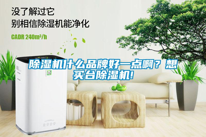 除濕機(jī)什么品牌好一點(diǎn)啊？想買臺(tái)除濕機(jī)!