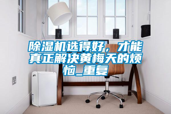 除濕機選得好，才能真正解決黃梅天的煩惱_重復