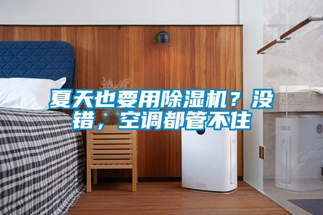 夏天也要用除濕機？沒錯，空調都管不住