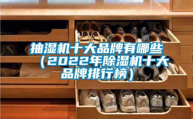 抽濕機(jī)十大品牌有哪些(2022年除濕機(jī)十大品牌排行榜)