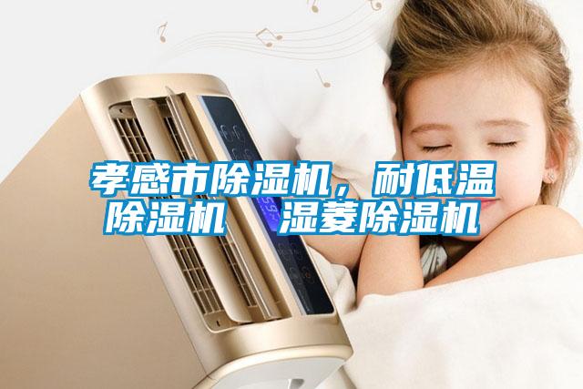 孝感市除濕機(jī),耐低溫除濕機(jī)  濕菱除濕機(jī)