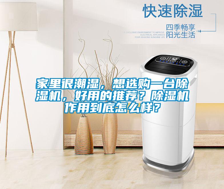 家里很潮濕,想選購(gòu)一臺(tái)除濕機(jī),好用的推薦?除濕機(jī)作用到底怎么樣?