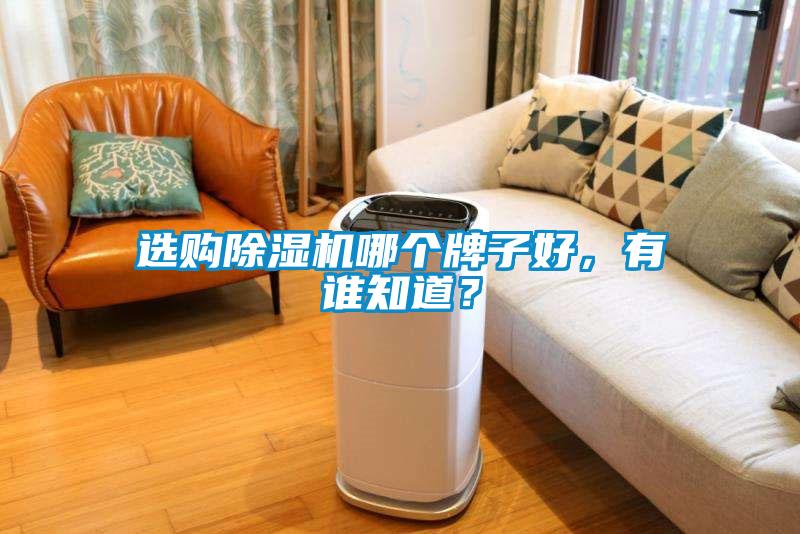選購除濕機哪個牌子好，有誰知道？