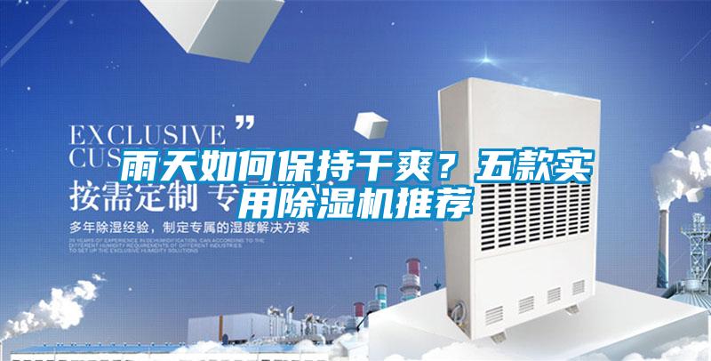 雨天如何保持干爽?五款實用除濕機推薦
