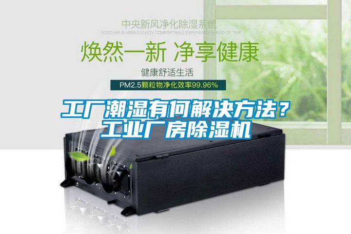 工廠潮濕有何解決方法？工業(yè)廠房除濕機(jī)
