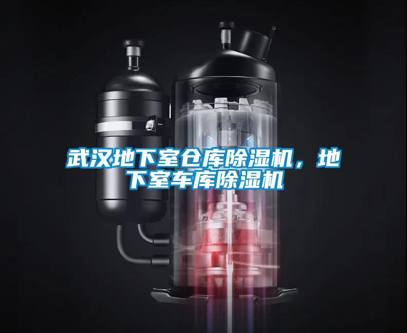 武漢地下室倉(cāng)庫(kù)除濕機(jī)，地下室車庫(kù)除濕機(jī)