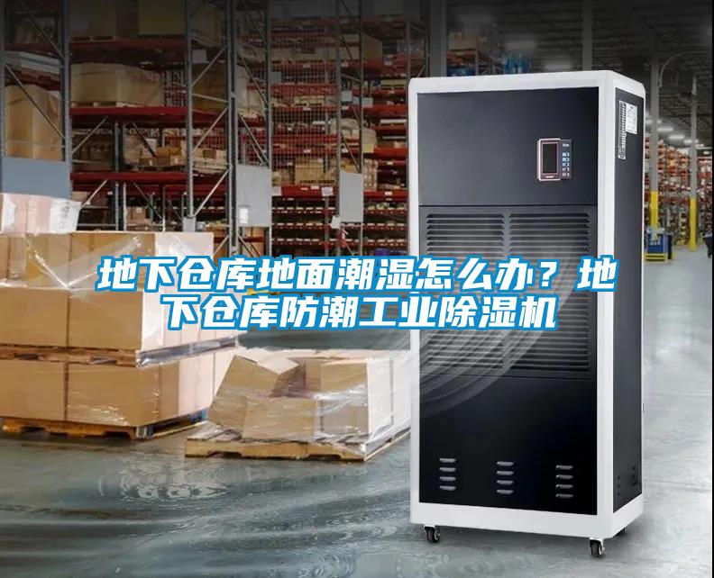 地下倉庫地面潮濕怎么辦？地下倉庫防潮工業除濕機