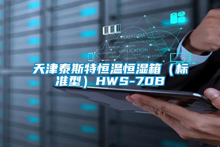 天津泰斯特恒溫恒濕箱(標準型)HWS-70B