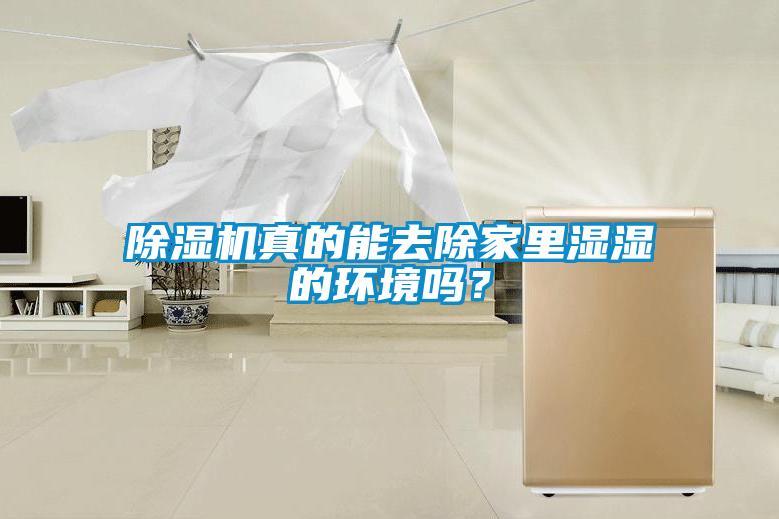 除濕機真的能去除家里濕濕的環境嗎?