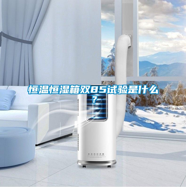 恒溫恒濕箱雙85試驗是什么?
