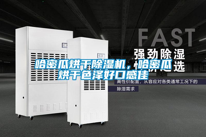哈密瓜烘干除濕機,哈密瓜烘干色澤好口感佳