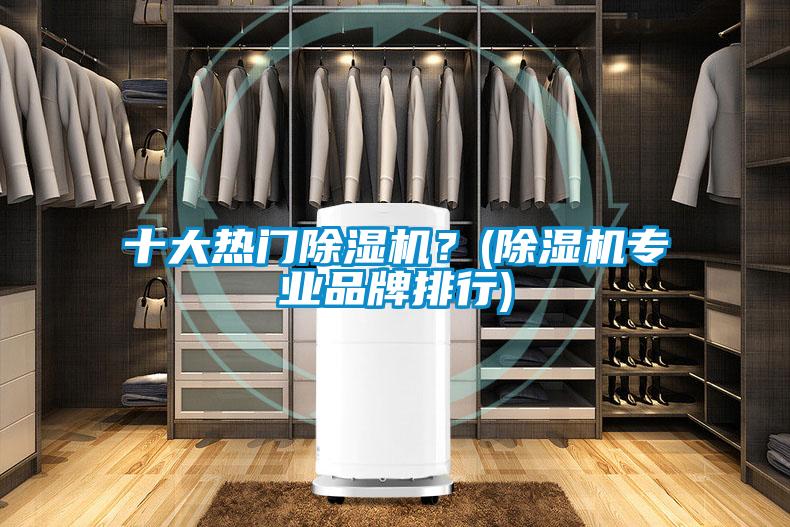 十大熱門除濕機(jī)?(除濕機(jī)專業(yè)品牌排行)
