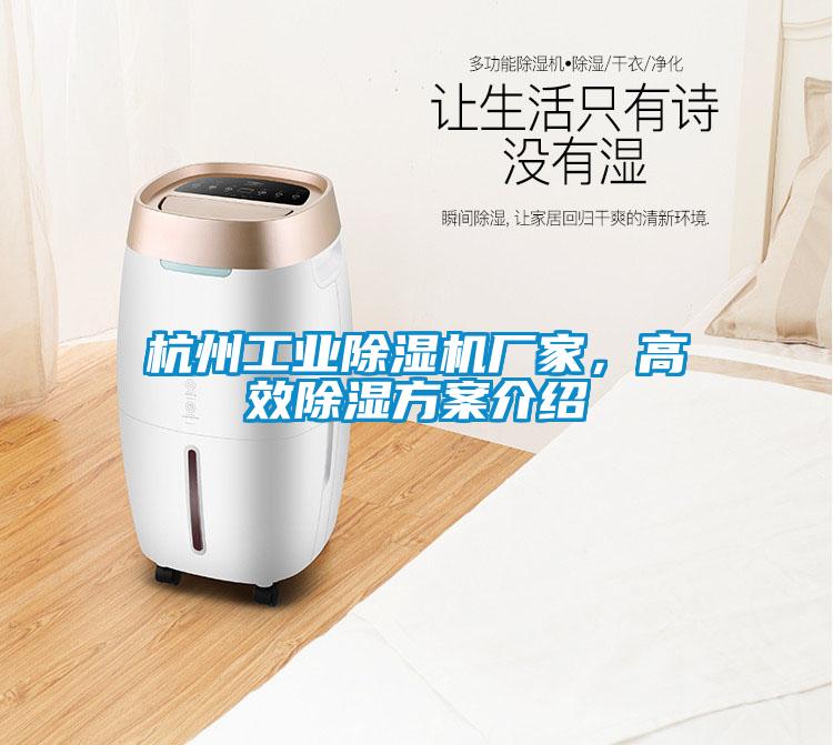杭州工業除濕機廠家，高效除濕方案介紹