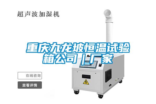 重慶九龍坡恒溫試驗箱公司|廠家