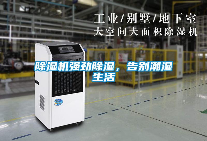 除濕機強勁除濕,告別潮濕生活