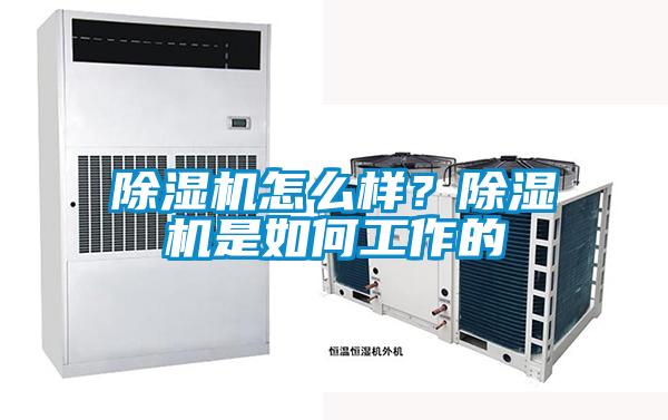 除濕機怎么樣?除濕機是如何工作的