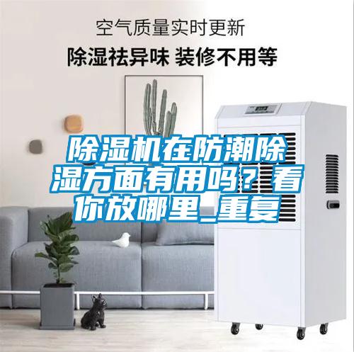 除濕機在防潮除濕方面有用嗎？看你放哪里_重復
