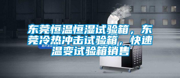 東莞恒溫恒濕試驗箱,東莞冷熱沖擊試驗箱,快速溫變試驗箱銷售