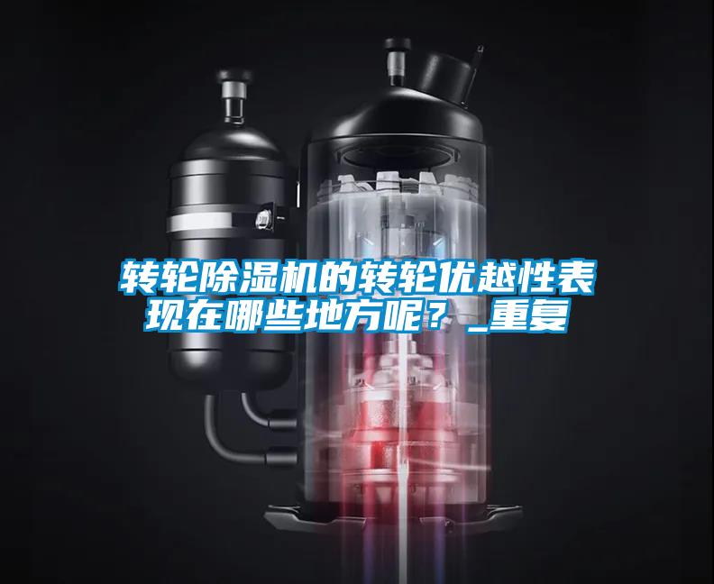 轉輪除濕機的轉輪優越性表現在哪些地方呢?_重復