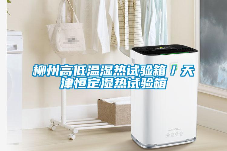 柳州高低溫濕熱試驗箱/天津恒定濕熱試驗箱