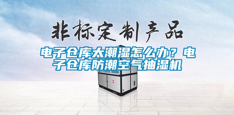 電子倉庫太潮濕怎么辦?電子倉庫防潮空氣抽濕機