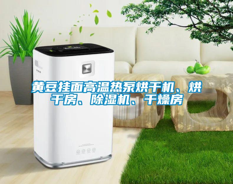黃豆掛面高溫熱泵烘干機、烘干房、除濕機、干燥房