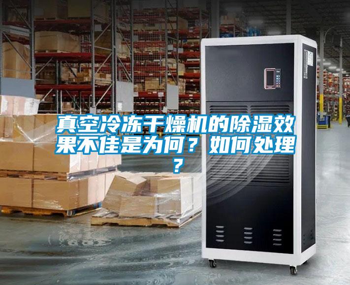 真空冷凍干燥機的除濕效果不佳是為何？如何處理？